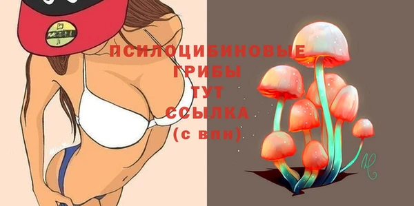 MDMA Белокуриха