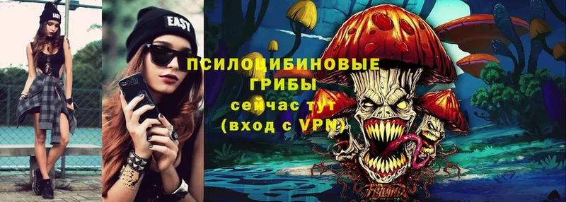 darknet клад  Киренск  Псилоцибиновые грибы Cubensis  кракен зеркало 